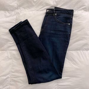 Everlane Curvy High Rise Skinny Jean Size 28 regular